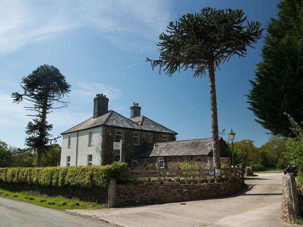 Poole Farm Panzió Launceston Kültér fotó